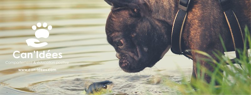 Can'Idées - Comportement et éducation positive - photo 1