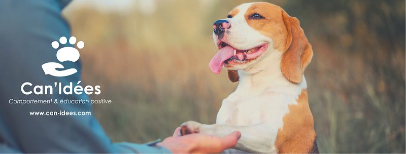 Can'Idées - Comportement et éducation positive - photo 2