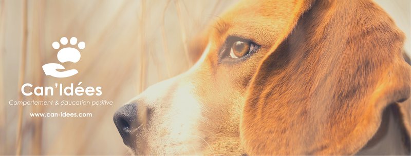 Can'Idées - Comportement et éducation positive - photo 3