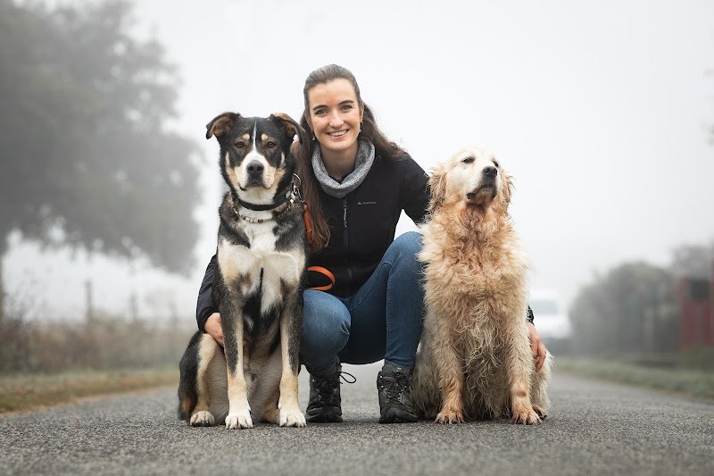 Humalia - Éducateur canin et comportementaliste - photo 1