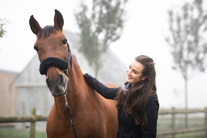 Humalia - Éducateur canin et comportementaliste - photo 2