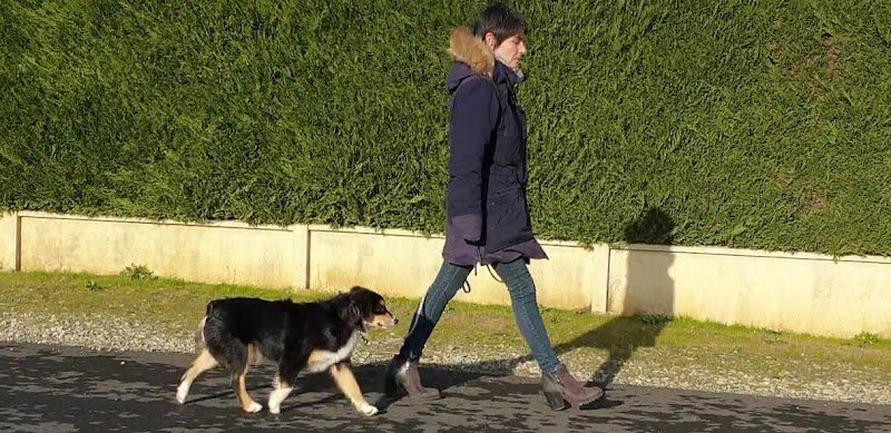 Atelier canin de Fontaine - photo 2