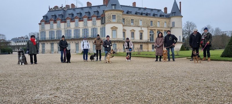 Leadership Dog (Educateur comportementaliste canin) - photo 1