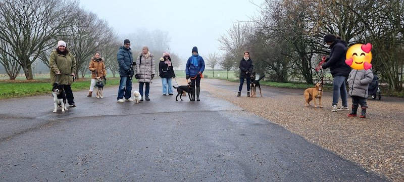 Leadership Dog (Educateur comportementaliste canin) - photo 3