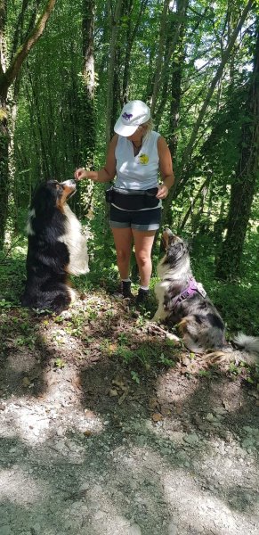 Ames Animales Education & Bien-être - Comportementaliste Canin/Félin/Equin - photo 2