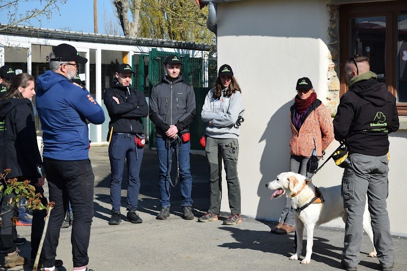 Educhien Formation - photo 1