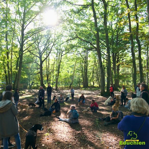 Educhien Formation - photo 3