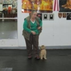 Club Canin La Laisse D'Or - photo 2