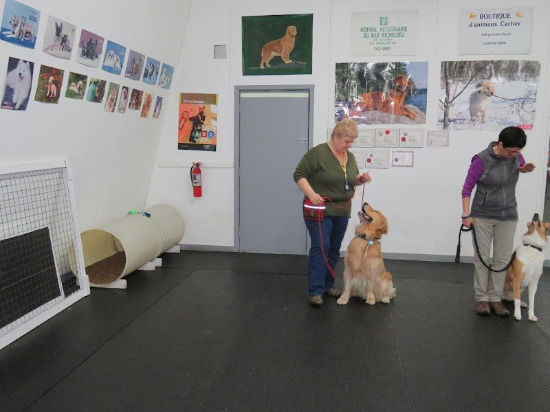 Club Canin La Laisse D'Or - photo 3