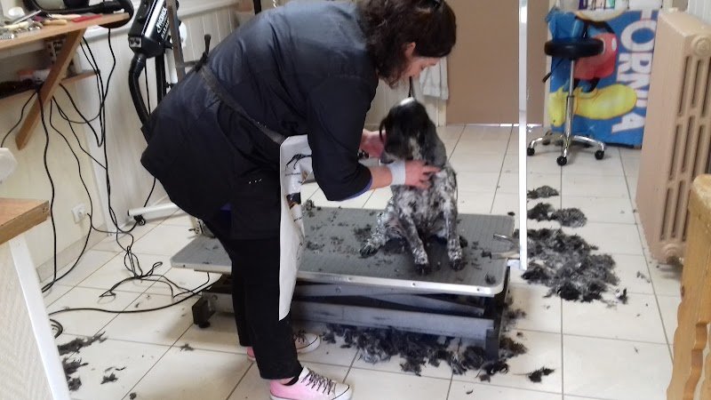 Relouk Chiens Severine - photo 1