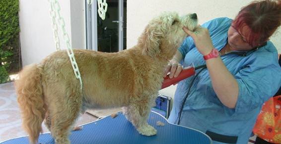 INSTICHIEN - photo 1