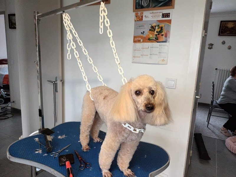 INSTICHIEN - photo 2