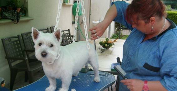 INSTICHIEN - photo 3