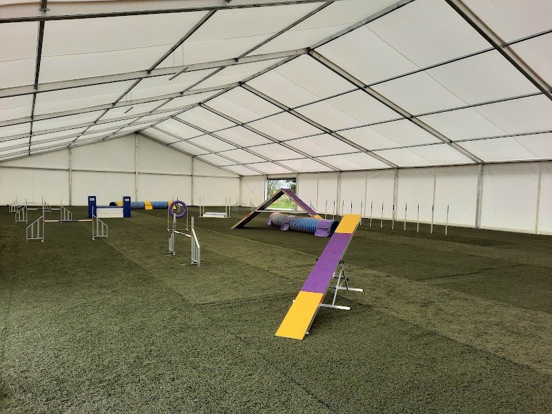 Liberty Hall Dog and Sport - photo 1