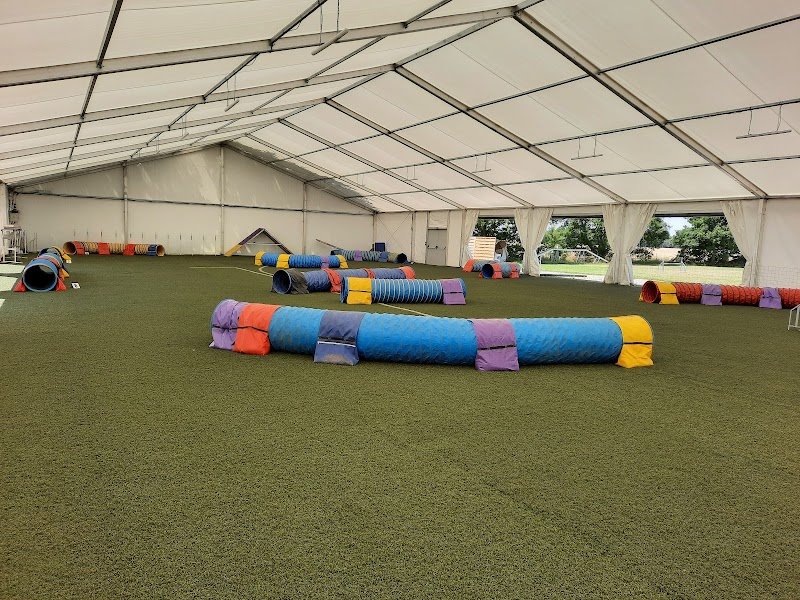 Liberty Hall Dog and Sport - photo 2