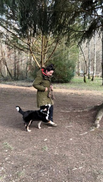 Louise Gabin - Educatrice canin - photo 3