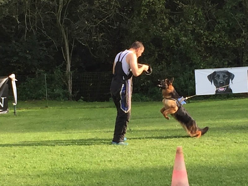 educanin78 - photo 2