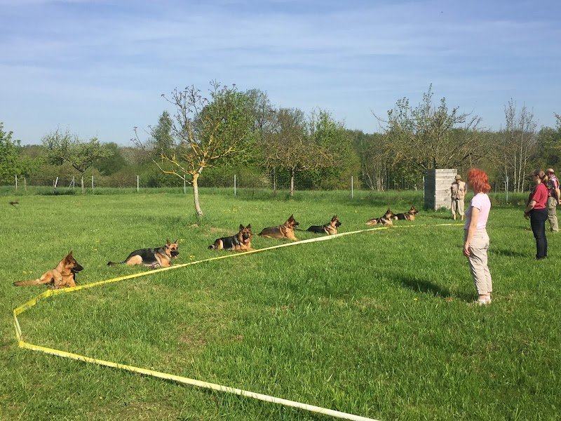 educanin78 - photo 3