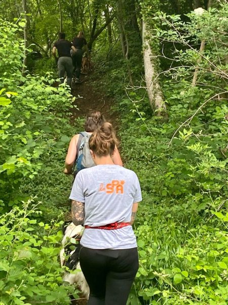 Les crazy dogs Educateur Canin - photo 3