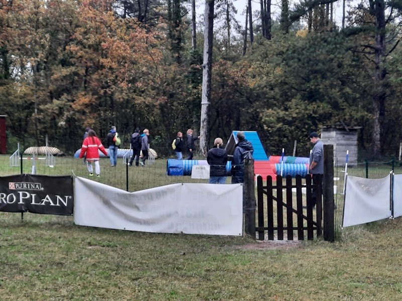 Club Canin - SEC Sud Essonne Bouville - photo 3