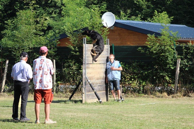 Club Canin Ollainville - photo 3