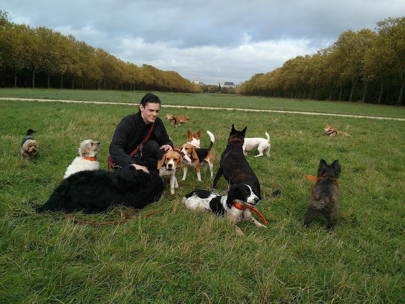 Gwen DRONKA - Educateur canin 91 - photo 2