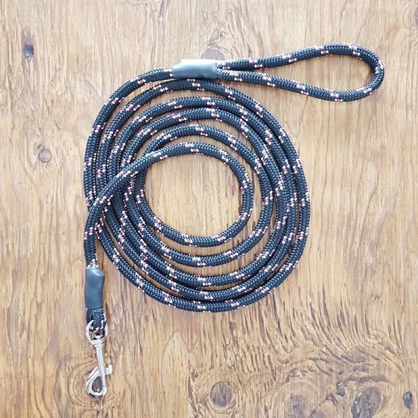 Dog's mind - Educateur canin et comportementaliste - photo 3