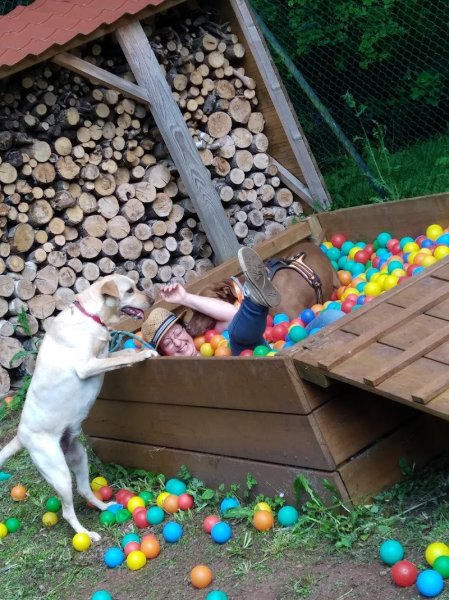 Emeline éducateur comportementaliste canin Coach Ouaf - photo 2