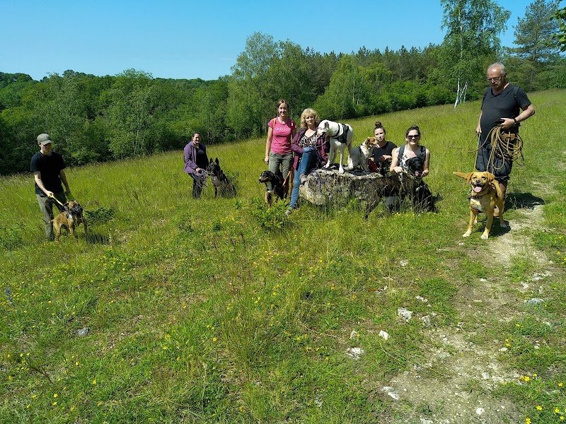 Emeline éducateur comportementaliste canin Coach Ouaf - photo 3