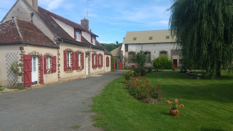 pension canine et feline - photo 1