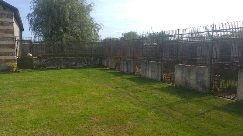 pension canine et feline - photo 3