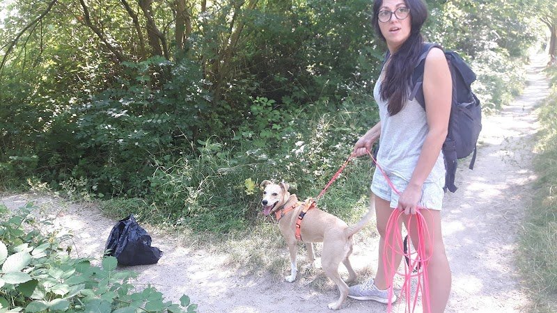 Parlez Vous Chien - photo 3