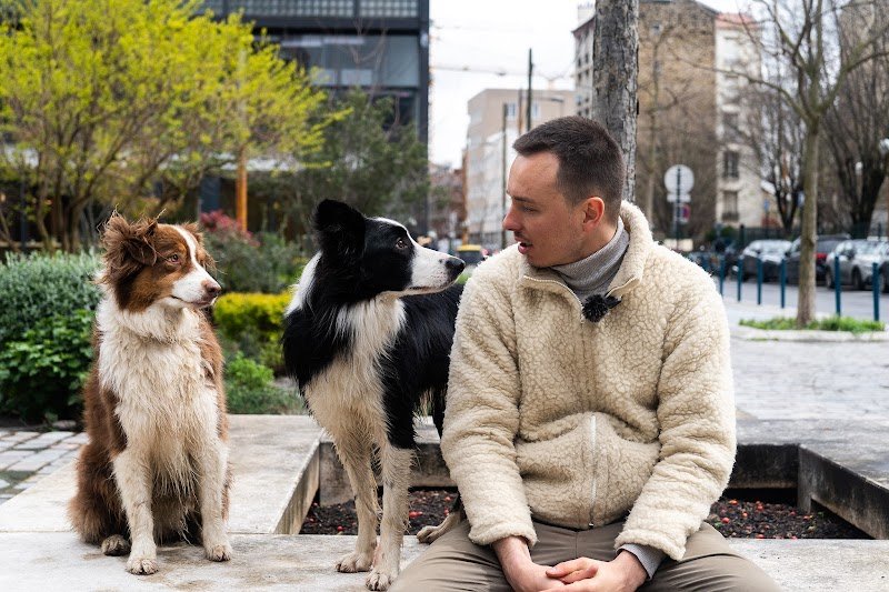 Les Chiens de Victor - Education en ligne et présentiel / meute - photo 1