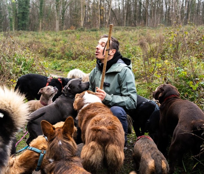 Les Chiens de Victor - Education en ligne et présentiel / meute - photo 2