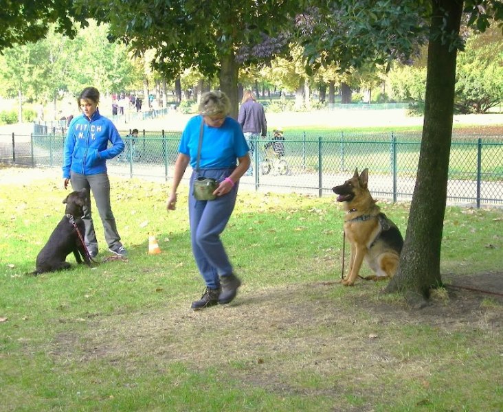 CANI CLASS Education Canine et Comportement - photo 1