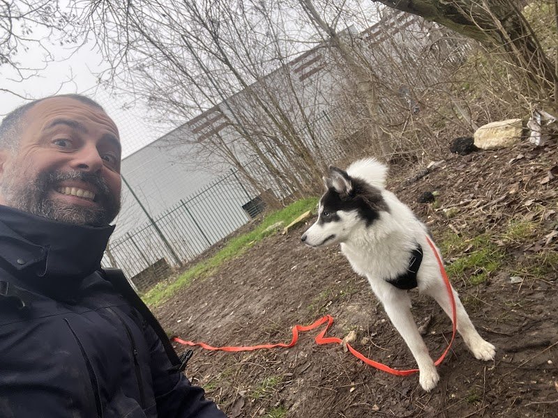 La Bande a Guapo - Educateur canin - Comportementaliste -Dogsitter - Promeneur pour chien - Educateur chien - photo 2