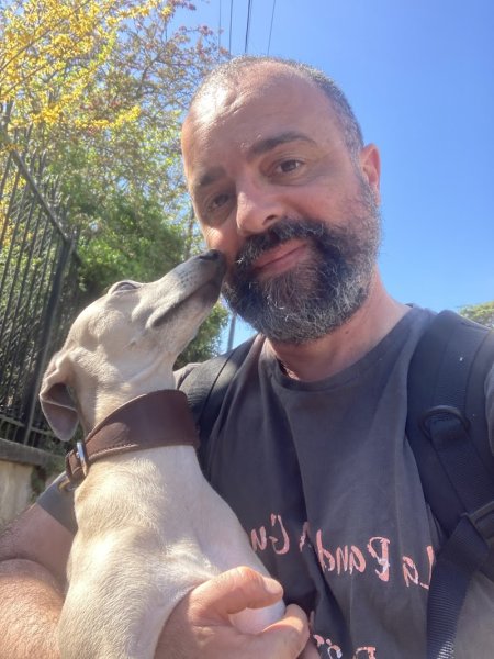 La Bande a Guapo - Educateur canin - Comportementaliste -Dogsitter - Promeneur pour chien - Educateur chien - photo 3