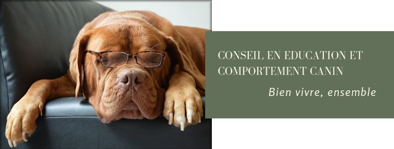 K.NI.D Educateur canin, Comportementaliste - photo 1