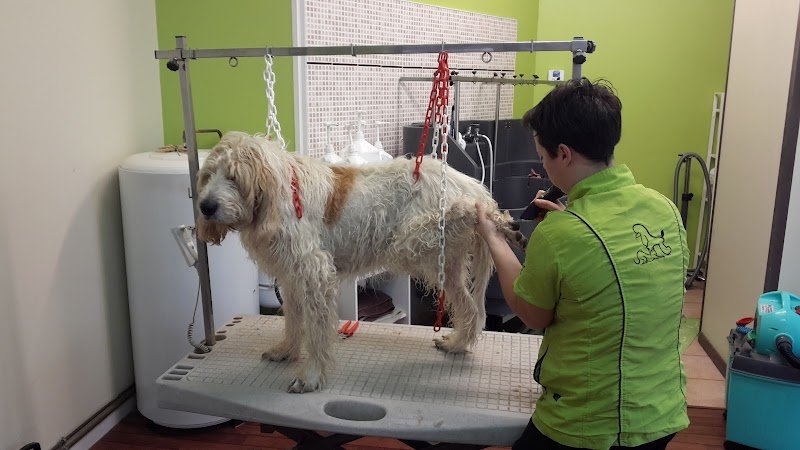 Au Bonheur des Chiens - photo 2