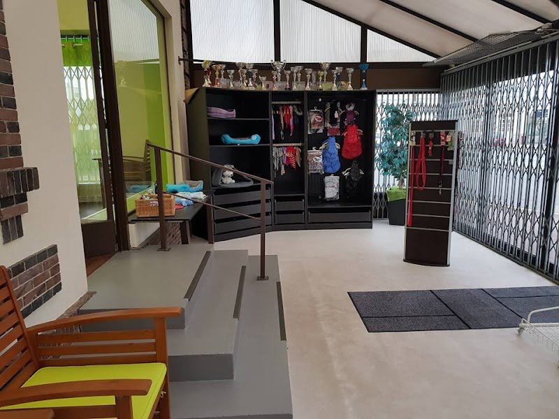 Au Bonheur des Chiens - photo 3