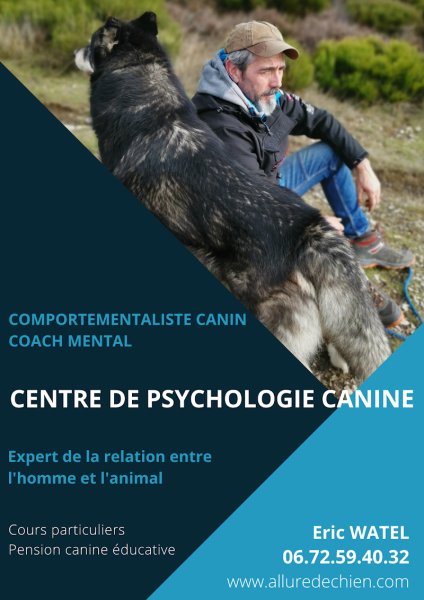 Allure de chien Eric Watel - photo 3