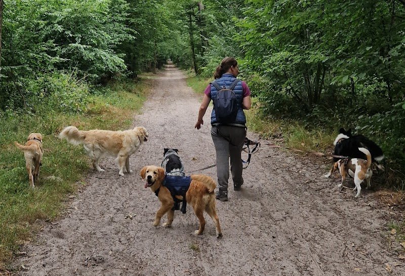 Sandrine Grandjean Educateur Canin - photo 2