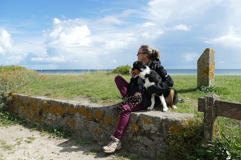 Nanymo | Coach comportementaliste félin et canin et éducateur canin