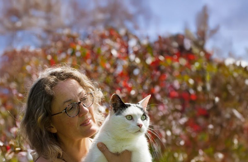 Nanymo | Coach comportementaliste félin et canin et éducateur canin - photo 3
