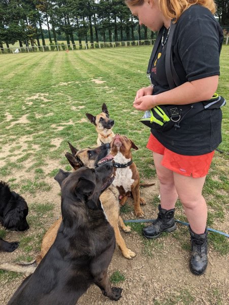 La Ferme de Laur' et Nico - Pension canine - photo 2