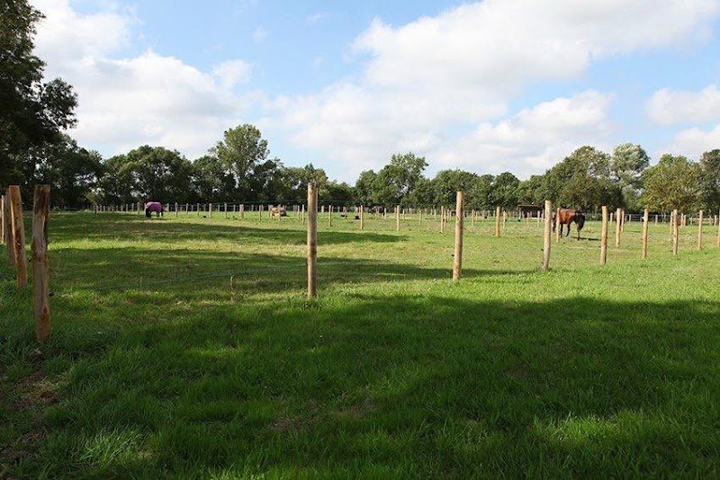 Alexia Ducos Blanchet Dressage - photo 1