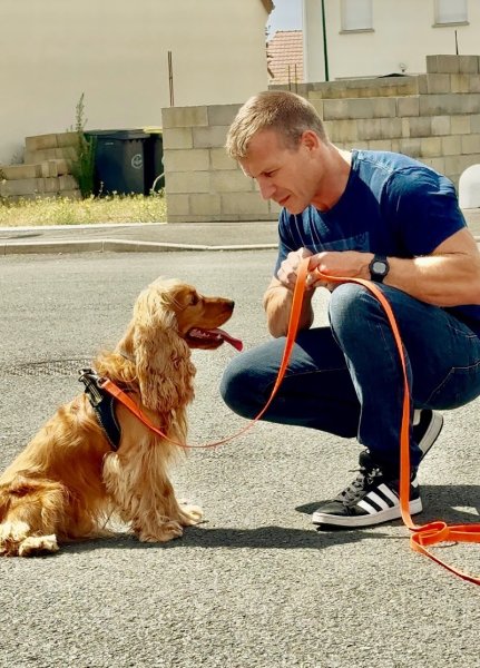 Fcti éducation canine - photo 1