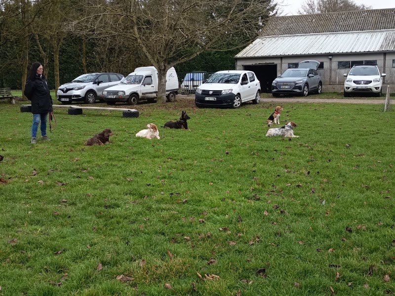 Club d'éducation canine d'Evreux - photo 3