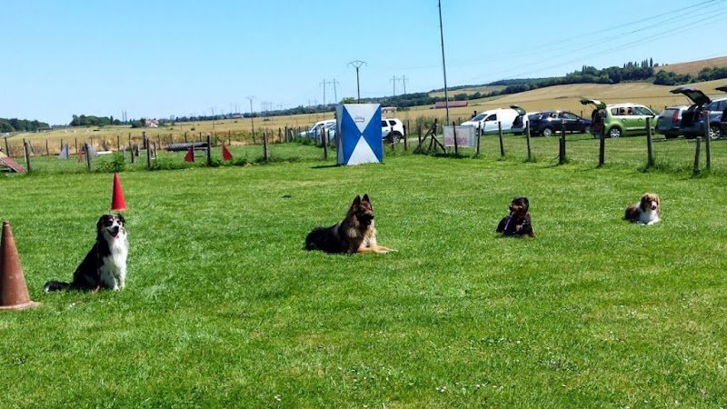 Club canin de Rosny-Sur-Seine - photo 1