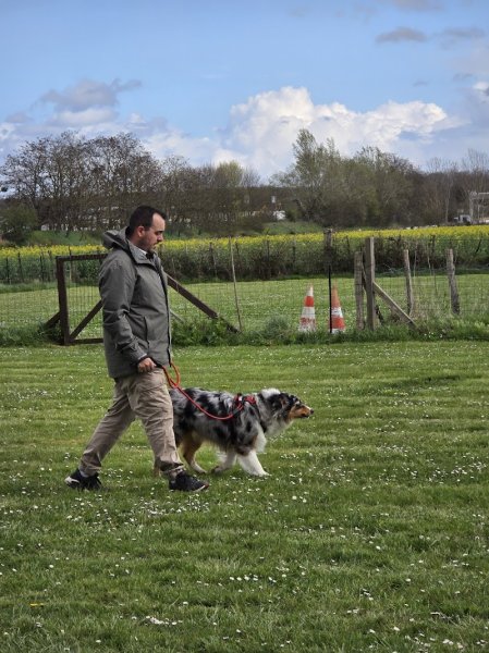 Club canin de Rosny-Sur-Seine - photo 2